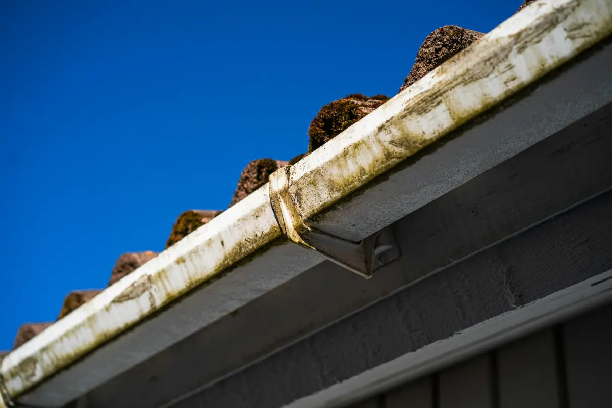 Gutters job example